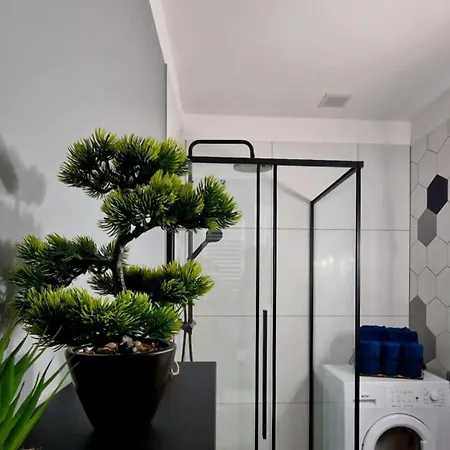 Apartment Apartment